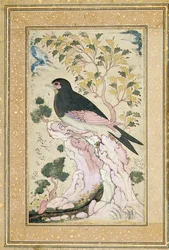 Pájaro posado en una roca, 1684