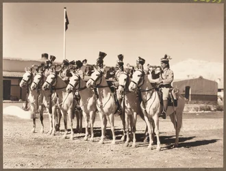 Trompeteros del 4º Caballo de Hodsons del Duque de Cambridges