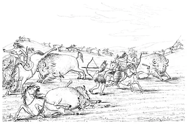 Nativos americanos cazando búfalos, 1841