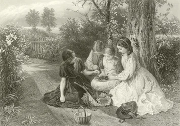 Un festín de cerezas