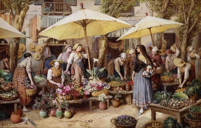 El Mercado de Flores, Toulon