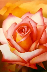 La rosa