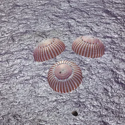 Apollo 16 - NASA, 1972