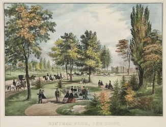 Central Park - El paseo