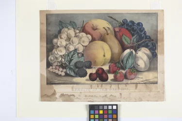Fruits Of The Season (litografía coloreada a mano)