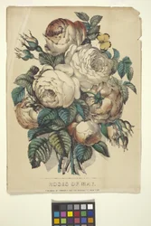 Rosas de mayo (litografía coloreada a mano)