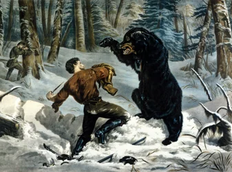La vida de los tramperos (cazadores profesionales) en Canadá: un cazador es atacado por un oso grizzly. Ilustración de Yves y Currier.