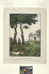 La tumba y la sombra de Washington