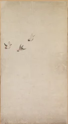 Cachorros, gorriones y crisantemos, 1754-1799