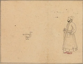 Raja Balwant Dev Singh y un cisne, c.1750-55