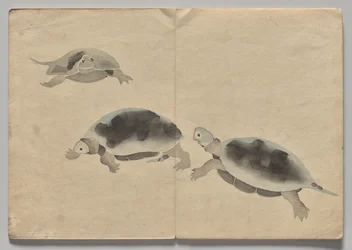 Escena del libro de imágenes Kōrin (volumen 2)