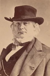Retrato de Horace Greeley 1811-1872, 1869