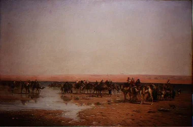 Cruzando el Desierto