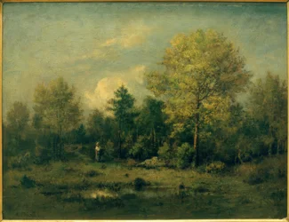 Paisaje con estanque en el bosque