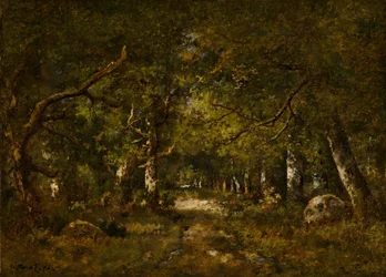Escena del bosque