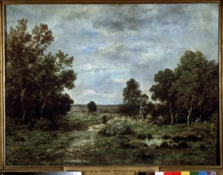 ""Paisaje otoñal en Fontainebleau"" (Otoño en Fontainebleau) Pintura de Narcisse Virgilio Diaz de la Pena (1807-1876) 1872 Museo Pushkin, Moscú