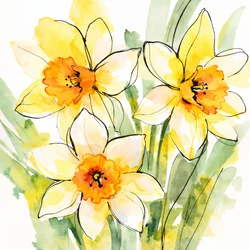 Narcisos amarillos en flor