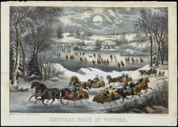 Central Park en invierno