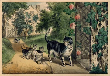 El regreso de la gata, 1874-78.