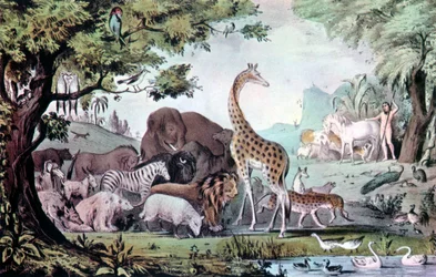 Adán nombrando a las criaturas, 1847