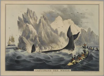 Capturar la ballena (litografía coloreada a mano)