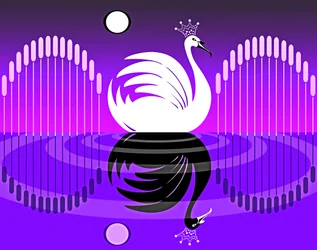Lago de los Cisnes IV, 2019