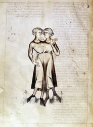 Sloane 3983 f.8v Dibujo de Géminis, de una traducción de un tratado astrológico persa de Jafar ibn Muhammad (vitela)