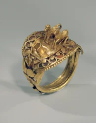 Anillo de caballo