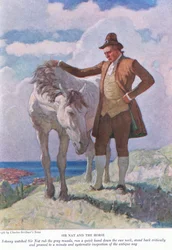 Sir Nat y el caballo: Johnny observó a Sir Nat frotar el hocico gris; retroceder y proceder a una inspección minuciosa y sistemática