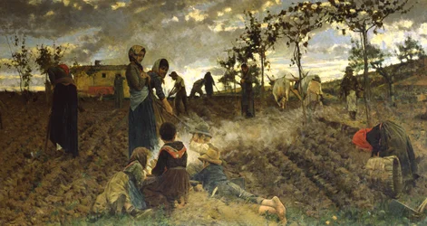Sembrando en Toscana