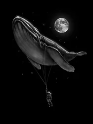 Paseo cósmico en ballena