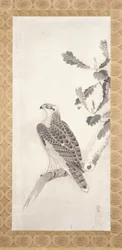 Hawk Perched On A Branch (tinta sobre papel)