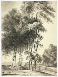Árboles con montañas a lo lejos