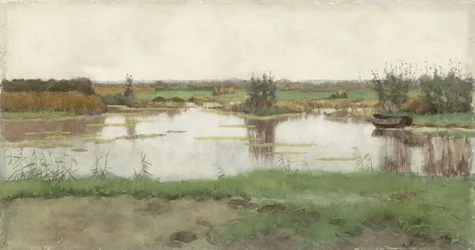 Un estanque en un prado