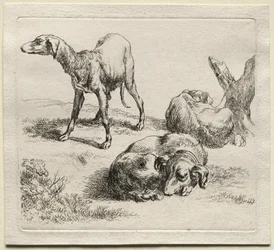 Animalia: Tres perros de caza