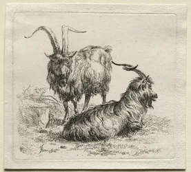 Animalia: Dos cabras