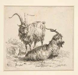 Cabras (de