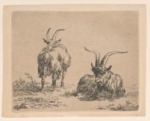 Dos cabras