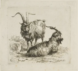 Dos cabras con cuernos grandes, de Varios Animales