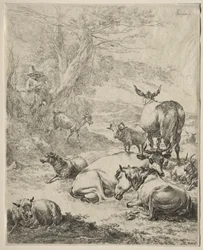 Animales en Reposo