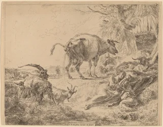 Vaca orinando