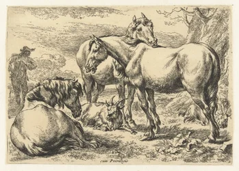 Tres caballos
Animales (título de la serie)