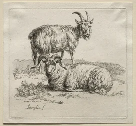 Carnero y Cabra