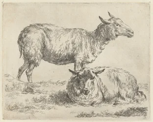 Staand en liggend schaap Schapen (título de la serie) Animales dibujados a la vida e impresos con agua para un aire fuerte por Studio and Art of Nicolai Berchem (título de la serie)