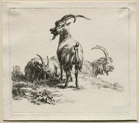 Tres cabras