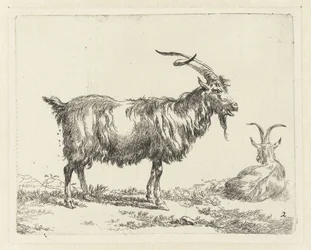 Dos veces al año
Geiten (título de la serie)
Animalia ad vivum delineata et aqua forti aeri impressa Studio et Arte Nicolai Berchemi (título de la serie)
