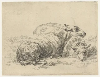 Twee ligende schapen Schapen (título de la serie) Animales dibujados a la vida e impresos con agua para un aire fuerte por Studio and Art of Nicolai Berchem (título de la serie)
