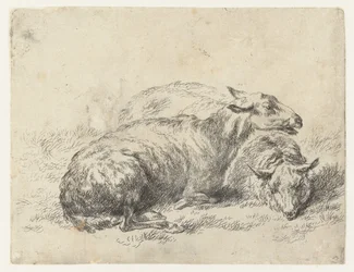 Dos hojas ligeras
schapen (título de la serie)
Animalia ad vivum delineata et aqua forti aeri impressa Studio et Arte Nicolai Berchemi (título de la serie)