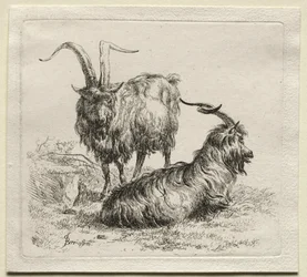 Dos cabras