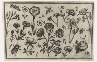 Flores, una mosca y un caracol. Pájaros, flores, insectos, etc. (título de la serie)